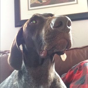 Meet your Posher, Krystal